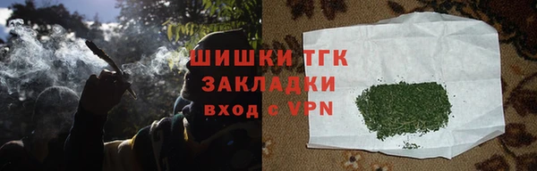 индика Зерноград