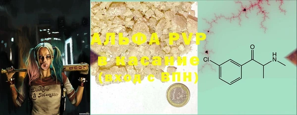 индика Зеленодольск