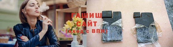 индика Зеленодольск