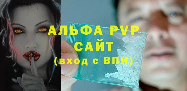 индика Зеленодольск