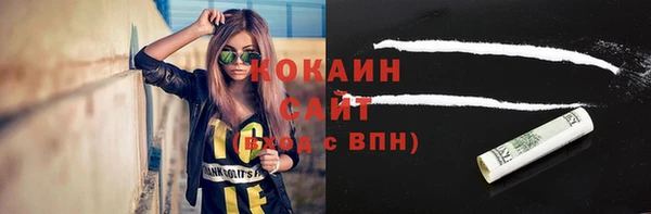 индика Зеленодольск
