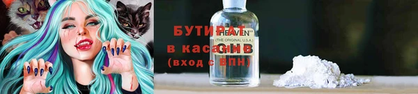 индика Зеленодольск