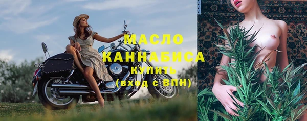 индика Зеленодольск