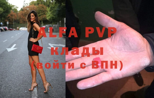 индика Зеленодольск