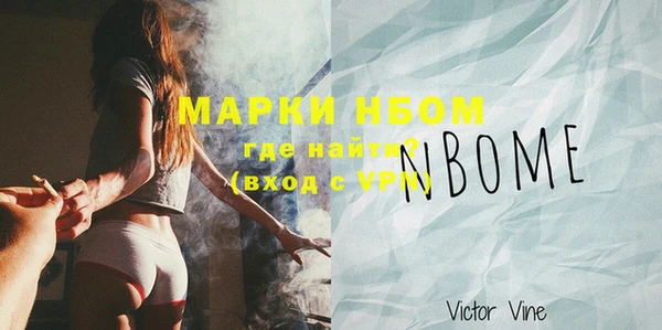 индика Зерноград