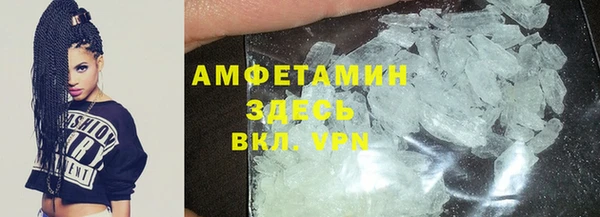 индика Зеленодольск