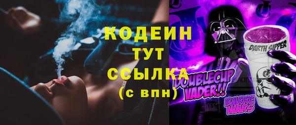 соль ск Заводоуковск