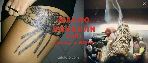 индика Зеленодольск