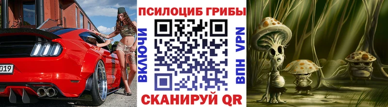 как найти наркотики Дербент Псилоцибиновые грибы прущие грибы