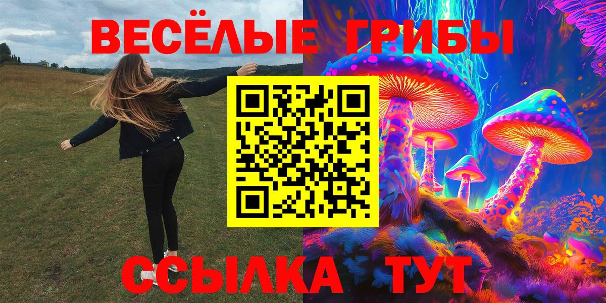 Псилоцибиновые грибы GOLDEN TEACHER Дербент